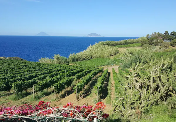 landscape, sea, coastal and oceanic landforms, plantation, coast, ocean