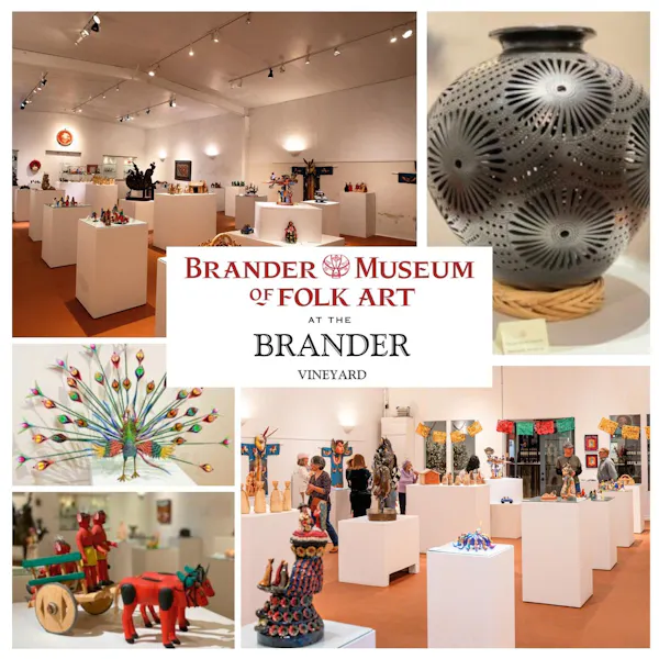 collection, exhibition, shelving, creative arts, natural material, museum