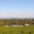 Hawks View Winery