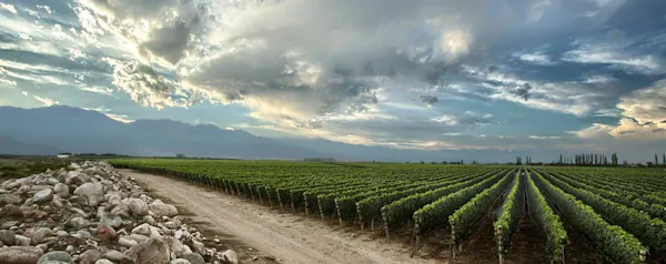 cloud, agriculture, field, plantation, rural area, cumulus