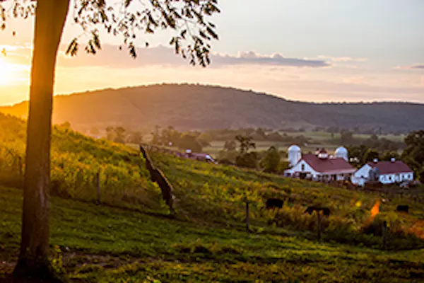nature, hill, landscape, rural area, sunlight, evening