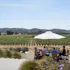 Tyler Winery's Mae Estate