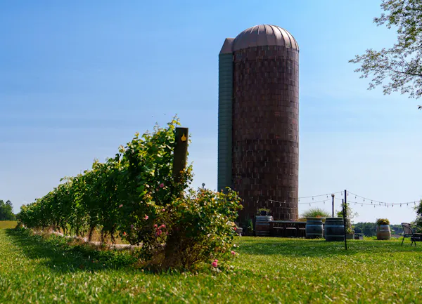 field, silo, plantation, agriculture, meteorological phenomenon