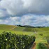 Linganore Winecellars