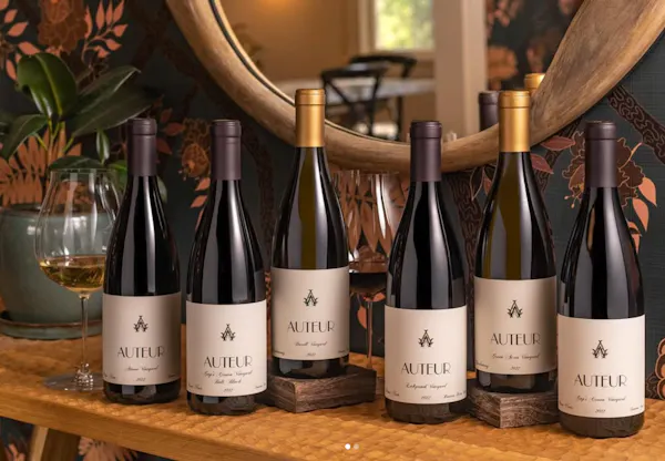 alcoholic drink, bottle, wine bottle, wine, glass bottle