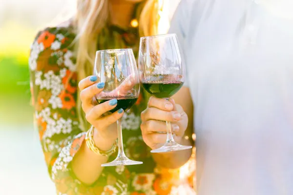 tableware, stemware, drinkware, wine glass, wine, sleeve