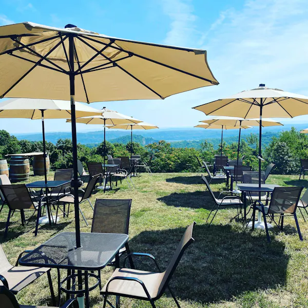 sky, furniture, table, plant, umbrella, shade