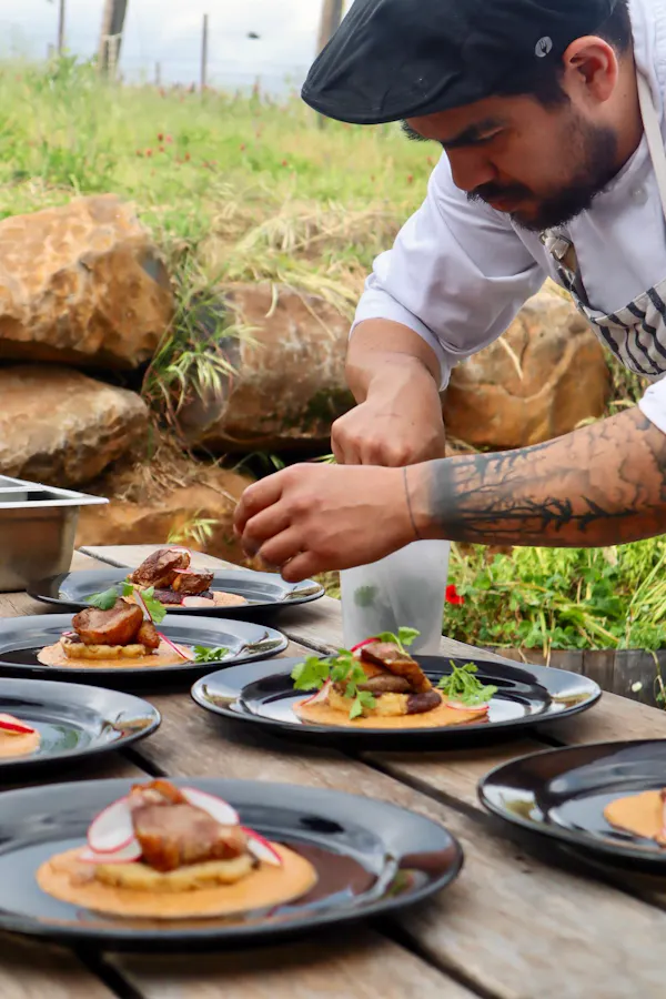 food, tableware, ingredient, cooking, dishware, culinary arts
