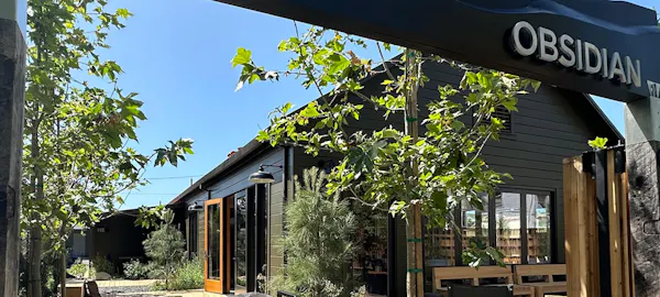plant, property, sky, shade, building, window