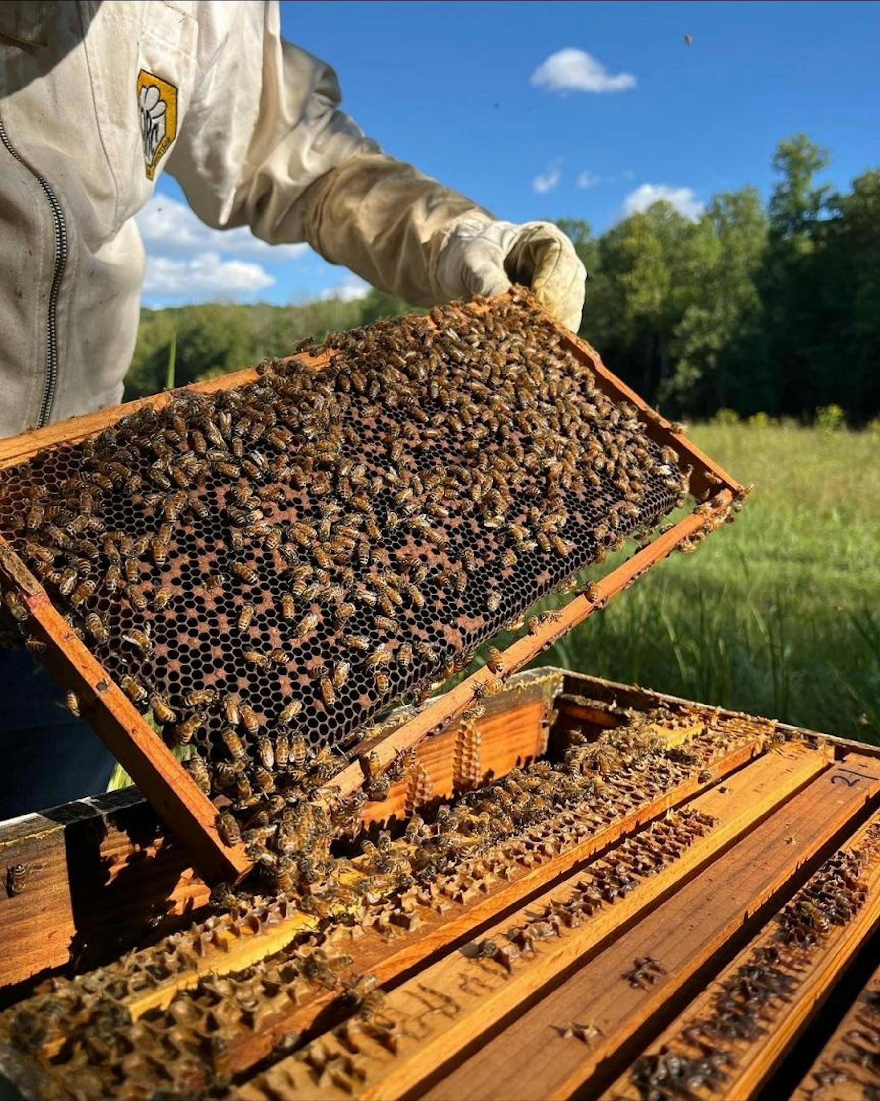 Honeytree Meadery Nashville, TN Tock