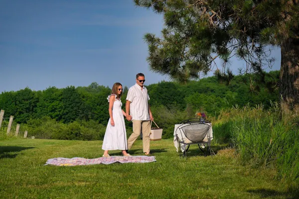 grass, summer, recreation, leisure, grassland, picnic