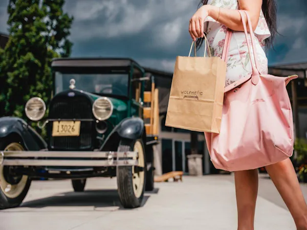 bag, fashion, luggage & bags, shopping bag, handbag, baggage