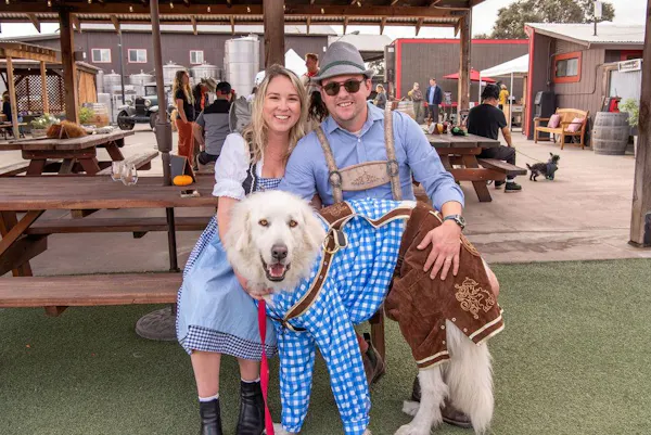 dog, hat, carnivores, sun hat, leash, pet supply