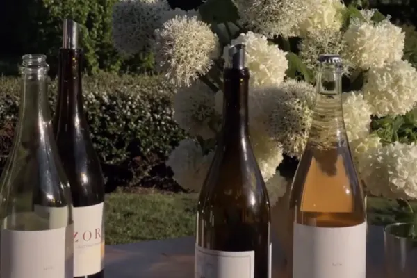 bottle, glass bottle, alcoholic drink, liquid, wine bottle, drinkware