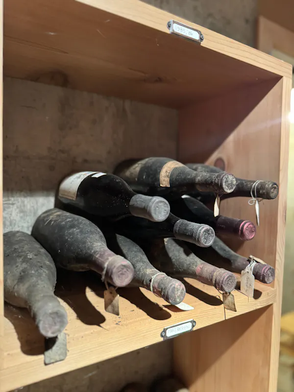 bottle, alcoholic drink, wine rack, wine bottle, wine, glass bottle