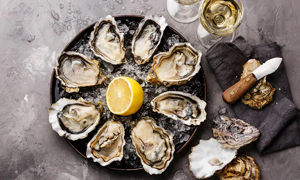 oyster, seafood, food, bivalvia, shellfish, lemon