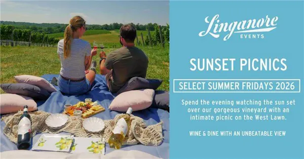 recreation, picnic, leisure, outdoor furniture, linens, vacation