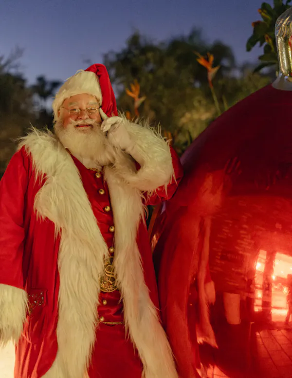 facial hair, beard, santa claus, christmas day, moustache, red