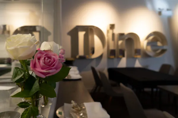 flower, plant, table, petal, flower arranging, rose