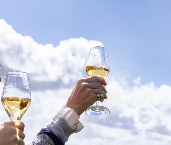 stemware, alcoholic drink, drinkware, tableware, wine glass, drinking
