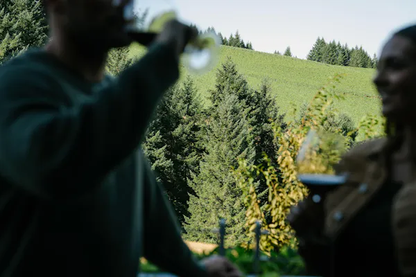 recreation, people in nature, forest, larch, conifers, evergreen