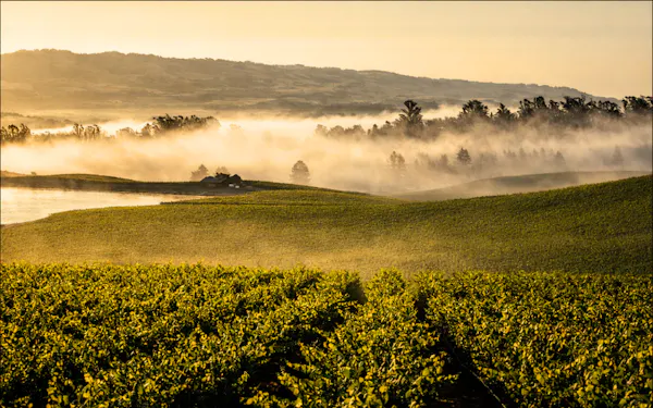 natural landscape, agriculture, plantation, atmospheric phenomenon, field, plain