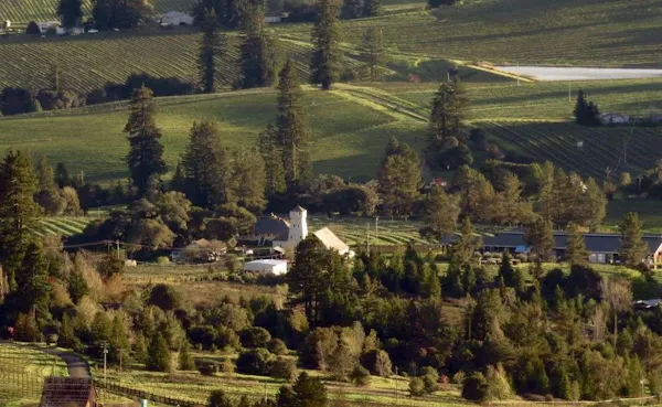 tree, landscape, highland, rural area, house, land lot