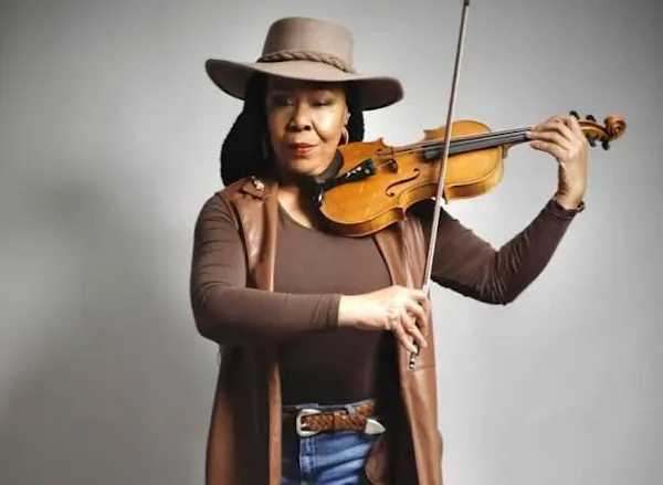string instrument, chordophone, violin family, musical instrument, violinist, fiddle