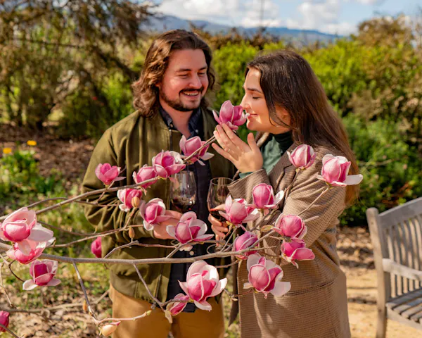 flower, happiness, petal, smile, pink, spring