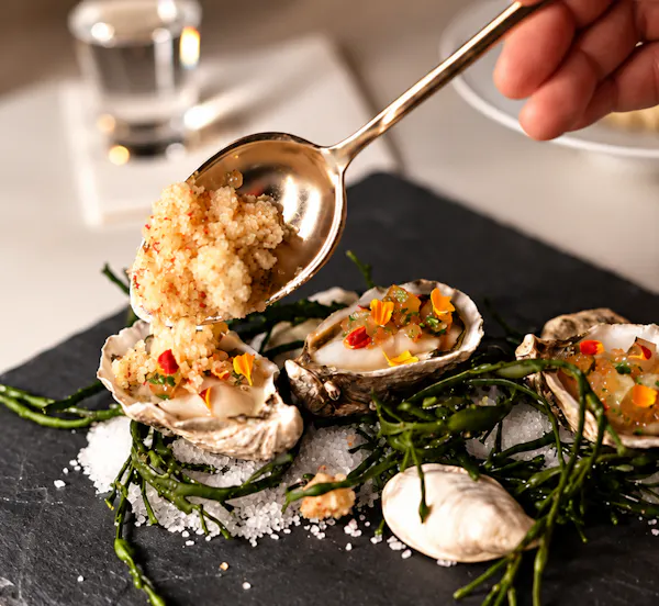 food, tableware, ingredient, seafood, cooking, culinary arts