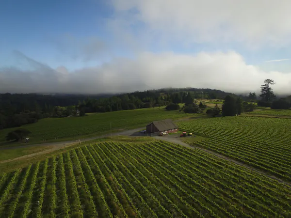 highland, field, plantation, hill, farm, agriculture