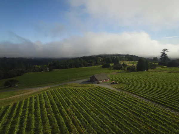 highland, field, plantation, hill, farm, agriculture