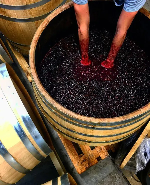 barrel, food, winery
