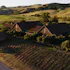 Ram's Gate Winery