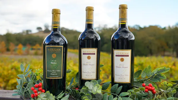 bottle, wine