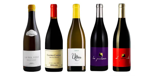 bottle, red, alcoholic drink, alcohol, wine bottle, glass bottle