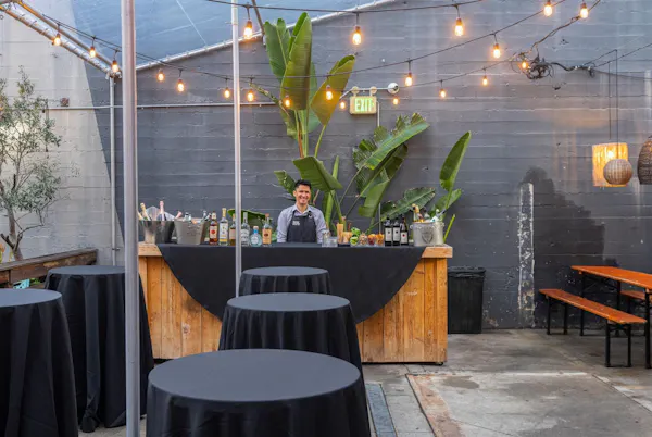 chair, houseplant, flowerpot, restaurant