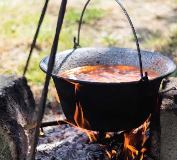 ash, charcoal, cookware and bakeware, cooking, fire, cuisine