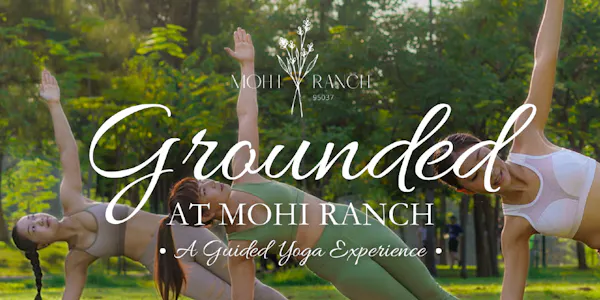 exercise, physical fitness, performing arts, active undergarment, undergarment, yoga