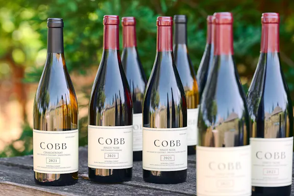 bottle, glass bottle, alcohol, wine bottle, wine, label