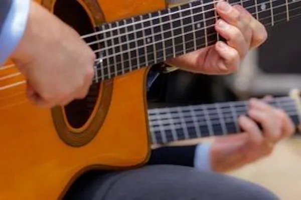 musical instrument, plucked string instrument, string instrument, chordophone, guitarist, guitar