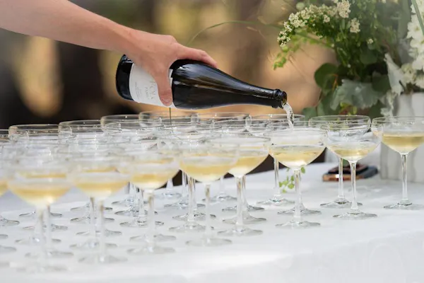 stemware, alcoholic drink, drinkware, tableware, champagne glass, wine glass