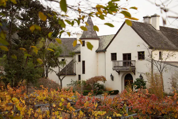 shrub, house, roof, estate, cottage, garden