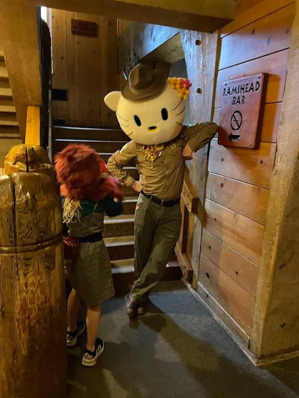 hat, sun hat, fedora, mascot, stuffed toy