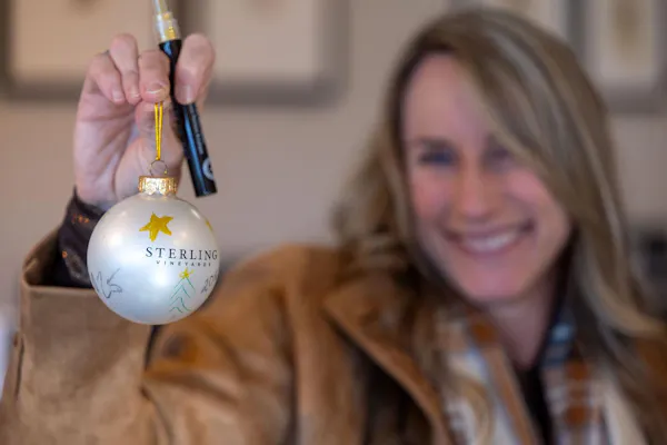 christmas ornament, holiday ornament, christmas decoration, christmas day, ornament, holiday