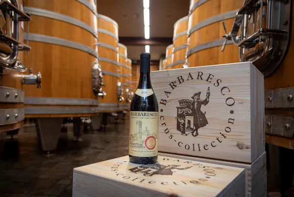 barrel, bottle, winery, wine cellar, hardwood