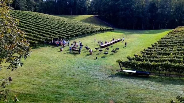 recreation, plantation, field, agriculture, leisure, meadow