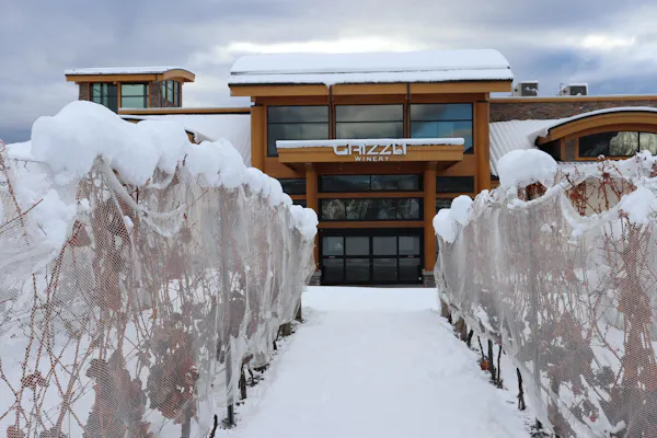 winter, property, freezing, snow, slope, hill station