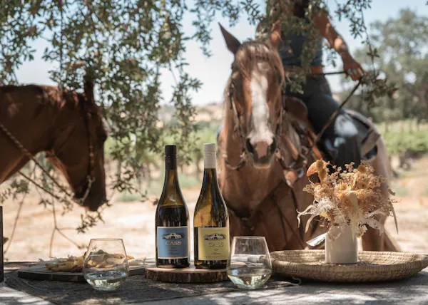 bottle, alcoholic drink, horse, glass bottle, drinkware, wine