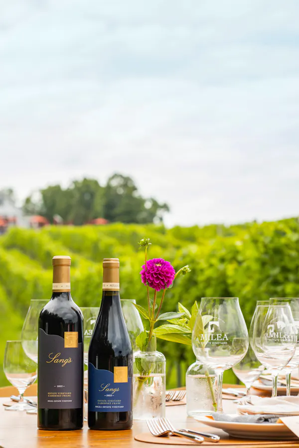 alcoholic drink, bottle, wine, glass bottle, alcohol, barware